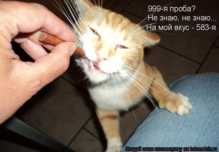 Котоматрица: 999-я проба? Не знаю, не знаю... На мой вкус - 583-я