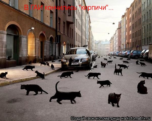Котоматрица: В ГАИ кончились "кирпичи"...