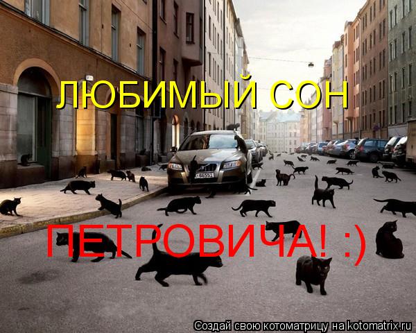 Котоматрица: ЛЮБИМЫЙ СОН ПЕТРОВИЧА! :)