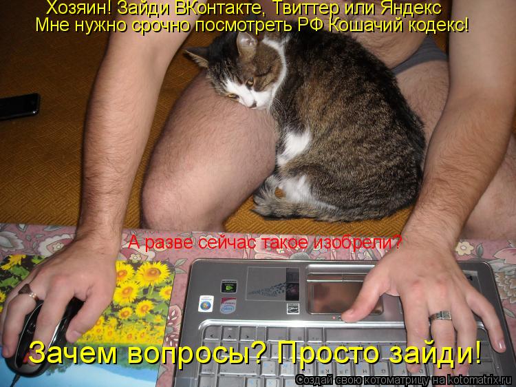 Котоматрица: Хозяин! Зайди ВКонтакте, Твиттер или Яндекс Мне нужно срочно посмотреть РФ Кошачий кодекс! А разве сейчас такое изобрели? Зачем вопросы? Про
