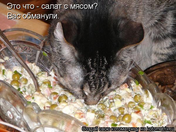 Котоматрица: Это что - салат с мясом? Вас обманули.