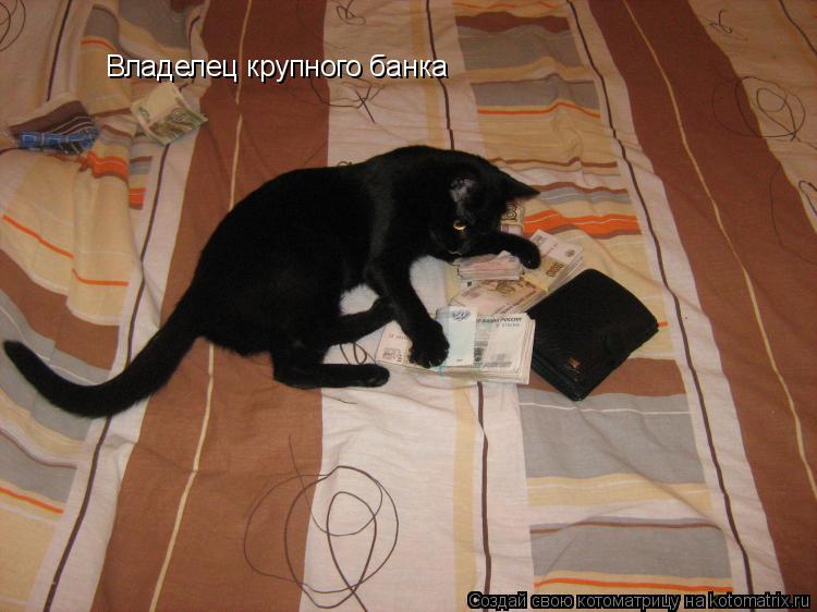 Котоматрица: Владелец крупного банка