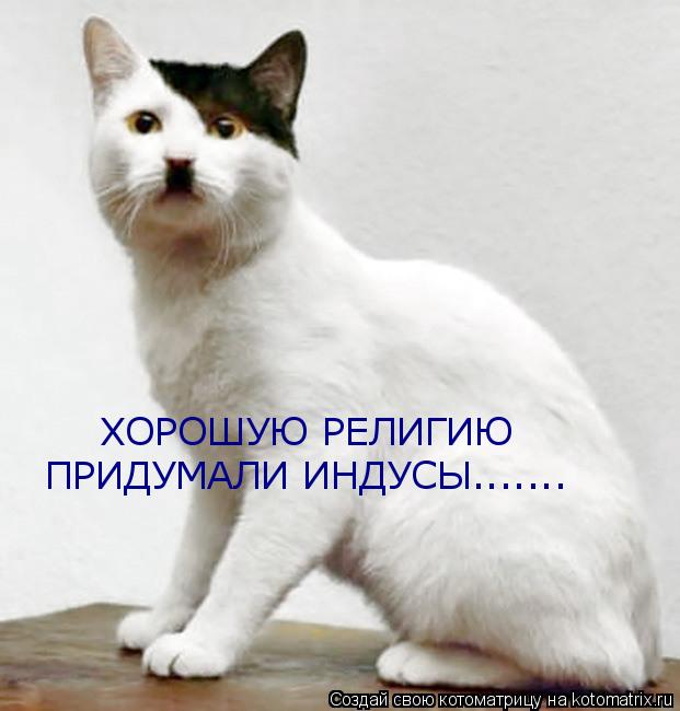 Котоматрица: ХОРОШУЮ РЕЛИГИЮ  ПРИДУМАЛИ ИНДУСЫ.......