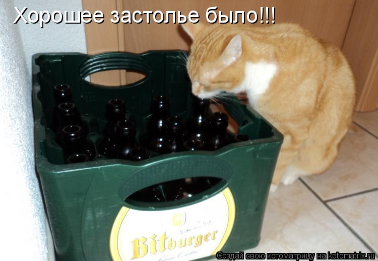 Котоматрица: Хорошее застолье было!!!
