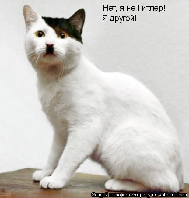 Котоматрица: Нет, я не Гитлер! Я другой!