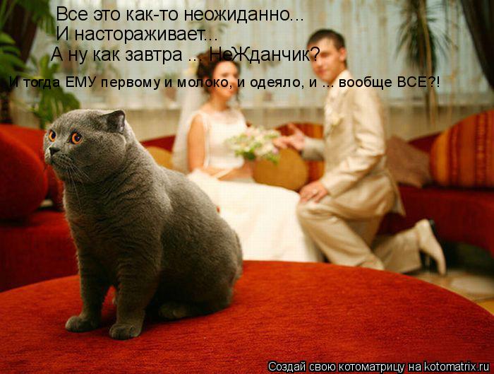 Котоматрица: Все это как-то неожиданно... И настораживает... И тогда ЕМУ первому и молоко, и одеяло, и ... вообще ВСЕ?! А ну как завтра ... НеЖданчик?