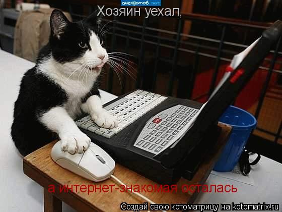 Котоматрица: Хозяин уехал, а интернет-знакомая осталась
