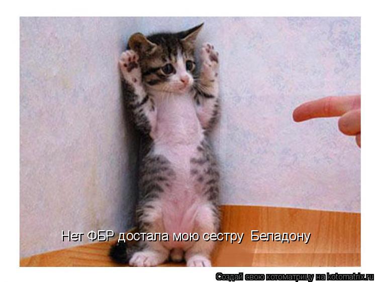 Котоматрица: Нет ФБР достала мою сестру  Беладону