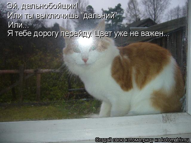 Котоматрица: Эй, дальнобойщик! Или ты выключишь "дальний", Или...  Я тебе дорогу перейду. Цвет уже не важен...