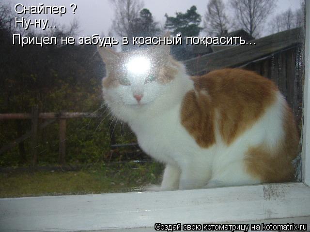 Котоматрица: Снайпер ? Ну-ну... Прицел не забудь в красный покрасить...