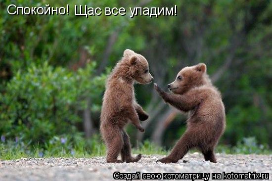 Котоматрица: Спокойно! Щас все уладим!