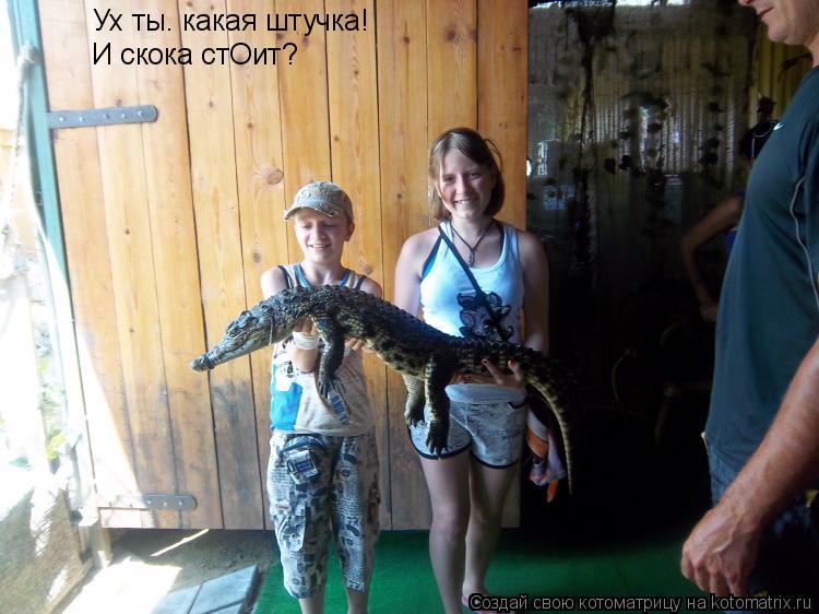 Котоматрица: Ух ты. какая штучка! И скока стОит?