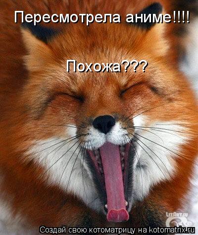 Котоматрица: Пересмотрела аниме!!!! Похожа???