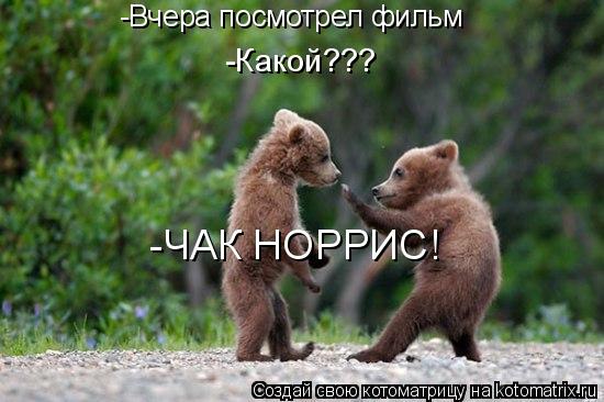 Котоматрица: -Вчера посмотрел фильм -Какой??? -ЧАК НОРРИС!