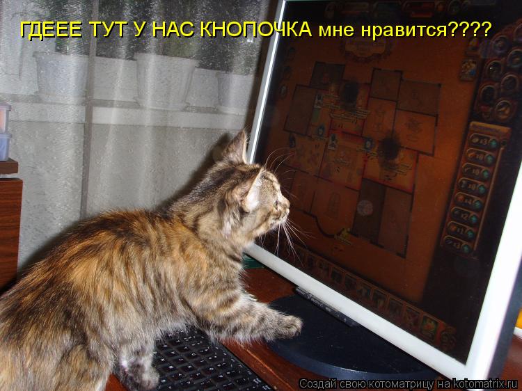 Котоматрица: ГДЕЕЕ ТУТ У НАС КНОПОЧКА мне нравится????