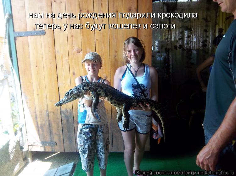 Котоматрица: нам на день рождения подарили крокодила теперь у нас будут кошелек и сапоги
