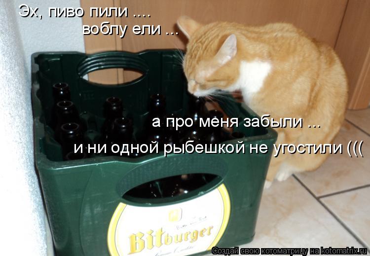 Котоматрица: Эх, пиво пили .... воблу ели ... а про меня забыли ... и ни одной рыбешкой не угостили (((