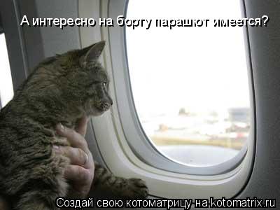 Котоматрица: А интересно на борту парашют имеется?