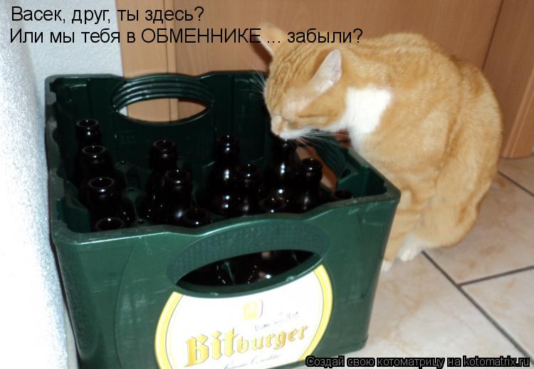 Котоматрица: Васек, друг, ты здесь? Или мы тебя в ОБМЕННИКЕ ... забыли?