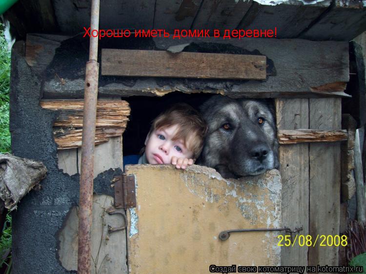 Котоматрица: Хорошо иметь домик в деревне!