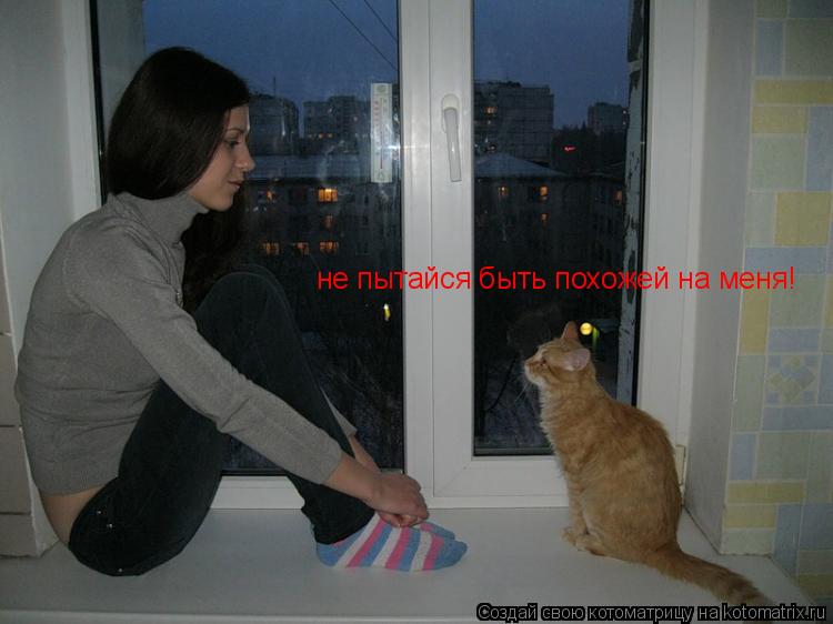 Котоматрица: не пытайся быть похожей на меня!