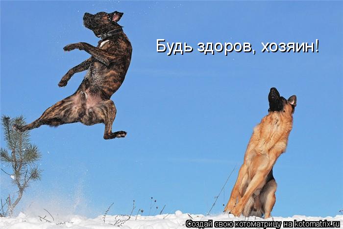 Котоматрица: Будь здоров, хозяин!