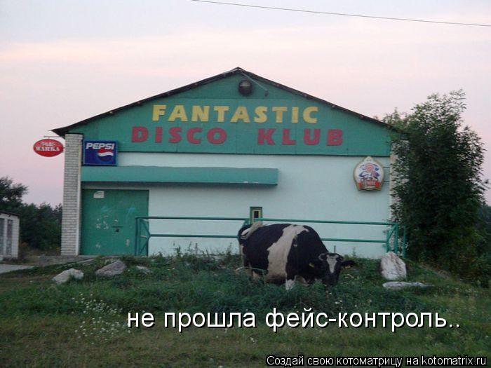 Котоматрица: не прошла фейс-контроль..