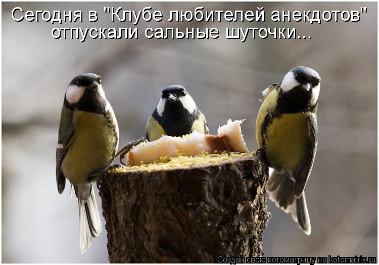 Котоматрица: Сегодня в "Клубе любителей анекдотов" отпускали сальные шуточки...