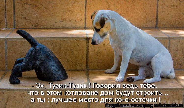 - Эх, Тузик-Тузик ! Говорил ведь тебе, что в этом котловане дом будут строить... а ты : лучшее место ... Котоматрица: - Эх, Тузик-Тузик ! Говорил ведь тебе, что в этом котловане дом будут строить... а ты : лучшее место для ко-о-осточки !