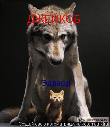 Котоматрица: ДЖЕЙКОБ Эдвард
