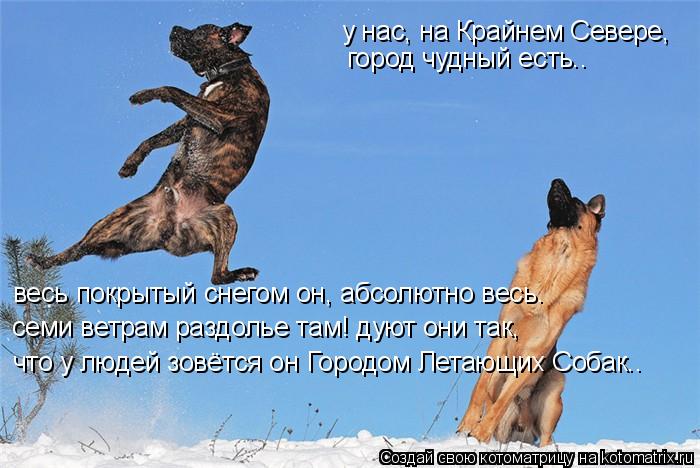 Котоматрица: у нас, на Крайнем Севере, город чудный есть.. весь покрытый снегом он, абсолютно весь. семи ветрам раздолье там! дуют они так, что у людей зовё