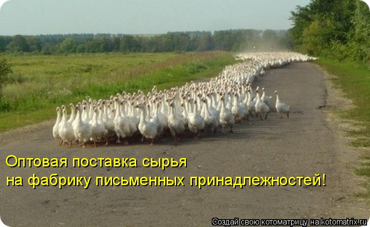 Котоматрица: Оптовая поставка сырья  на фабрику письменных принадлежностей!