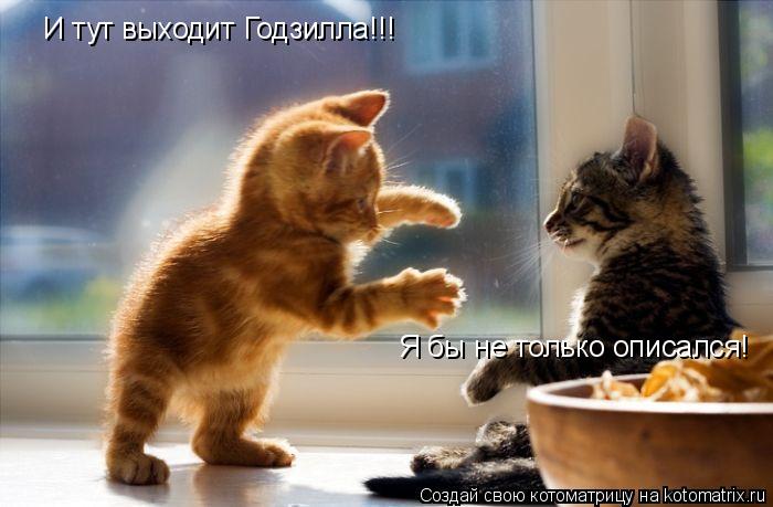 Котоматрица: И тут выходит Годзилла!!! Я бы не только описался!