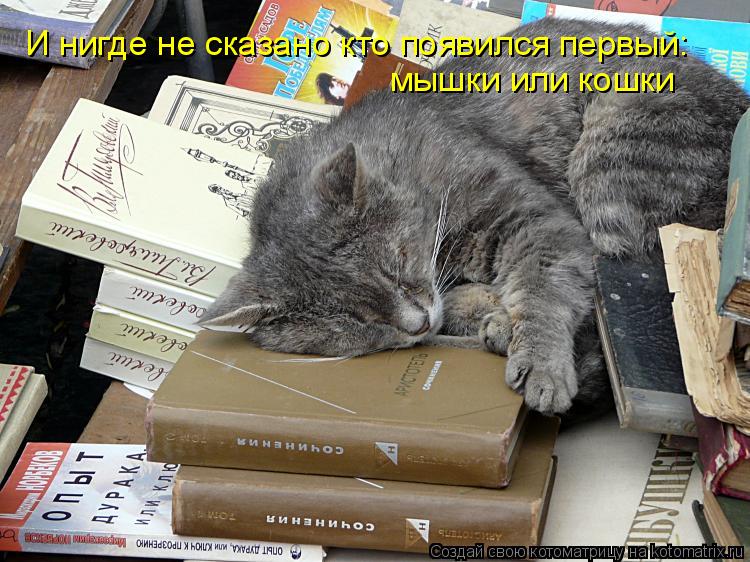 Котоматрица: И нигде не сказано кто появился первый: мышки или кошки