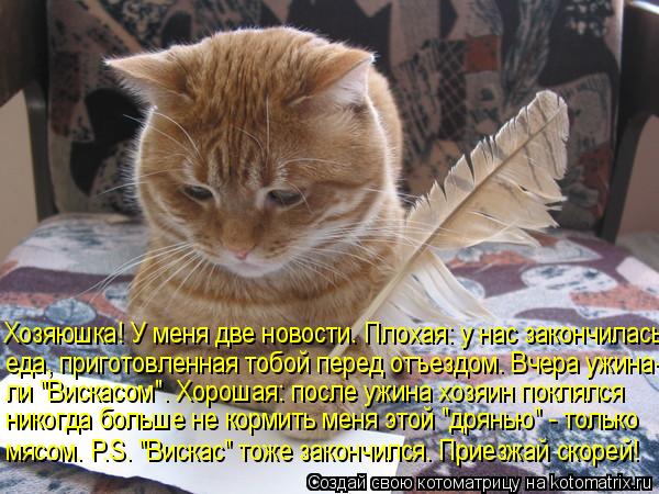Хозяюшка! У меня две новости. Плохая: у нас закончилась еда, приготовленная тобой перед отъездом. Вче... Котоматрица: Хозяюшка! У меня две новости. Плохая: у нас закончилась еда, приготовленная тобой перед отъездом. Вчера ужина- ли "Вискасом". Хорошая: после у