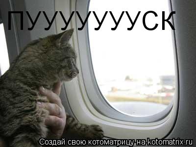 Котоматрица: ПУУУУУУУСК