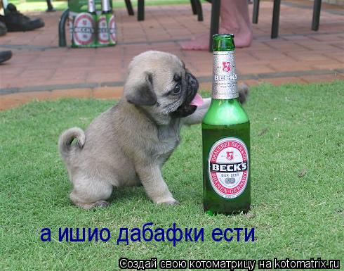 Котоматрица: а ишио дабафки ести