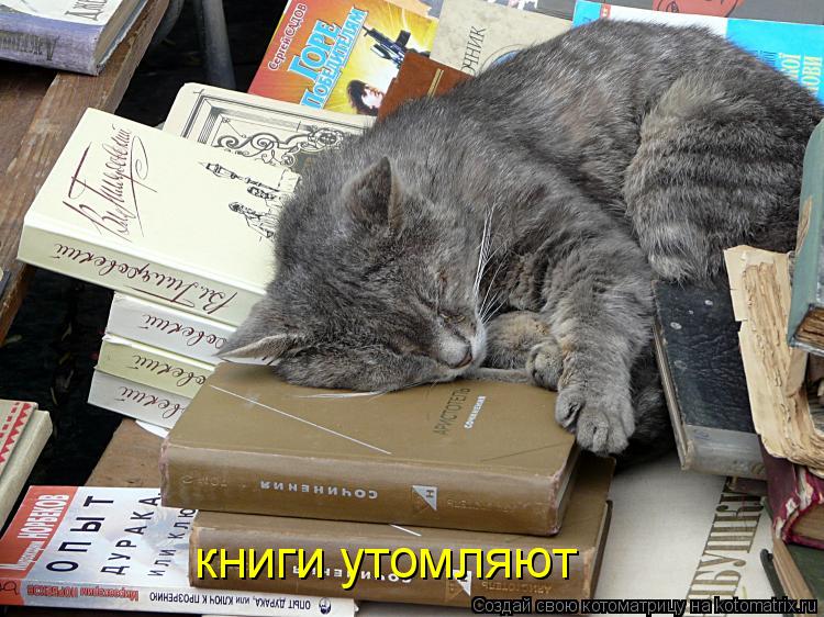 Котоматрица: книги утомляют
