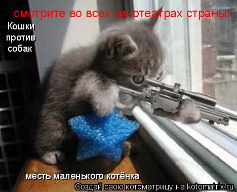 Котоматрица: смотрите во всех кинотеатрах страны! Кошки  против  собак месть маленького котёнка