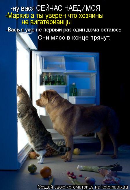 Котоматрица: -ну вася СЕЙЧАС НАЕДИМСЯ -Маркиз а ты уверен что хозяины не вигатерианцы -Вась я уже не первый раз один дома остаюсь  Они мясо в конце прячут.
