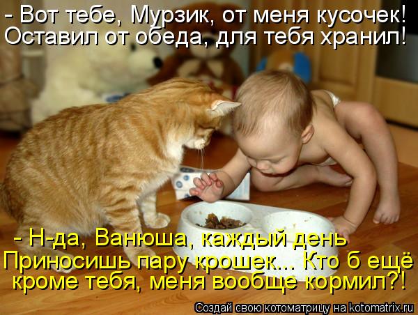 Котоматрица: - Вот тебе, Мурзик, от меня кусочек!  Оставил от обеда, для тебя хранил! - Н-да, Ванюша, каждый день  Приносишь пару крошек... Кто б ещё кроме тебя,