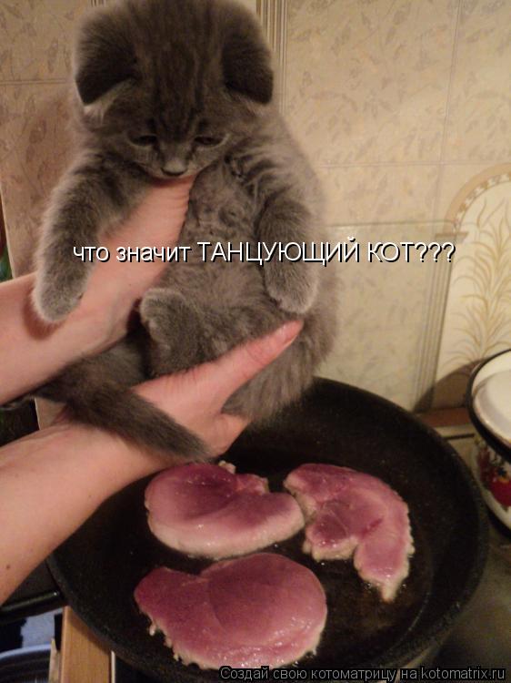 Котоматрица: что значит ТАНЦУЮЩИЙ КОТ???