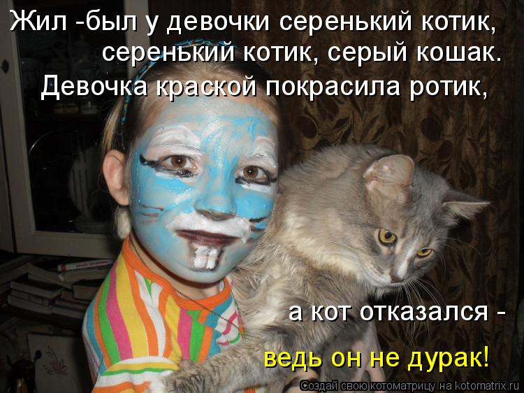Котоматрица: Жил -был у девочки серенький котик,  серенький котик, серый кошак. Девочка краской покрасила ротик,  а кот отказался -  ведь он не дурак!