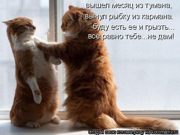 Котоматрица: вышел месяц из тумана, вынул рыбку из кармана. буду есть ее и грызть... все равно тебе...не дам!