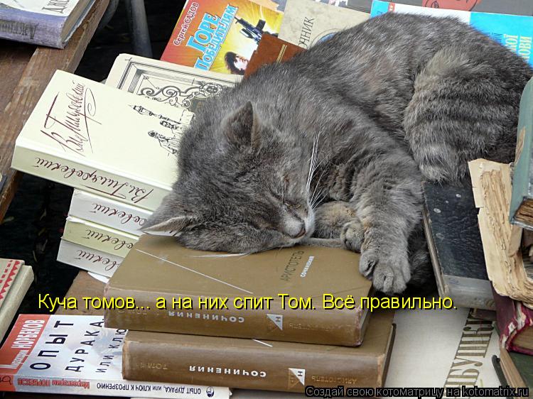 Котоматрица: Куча томов... а на них спит Том. Всё правильно.
