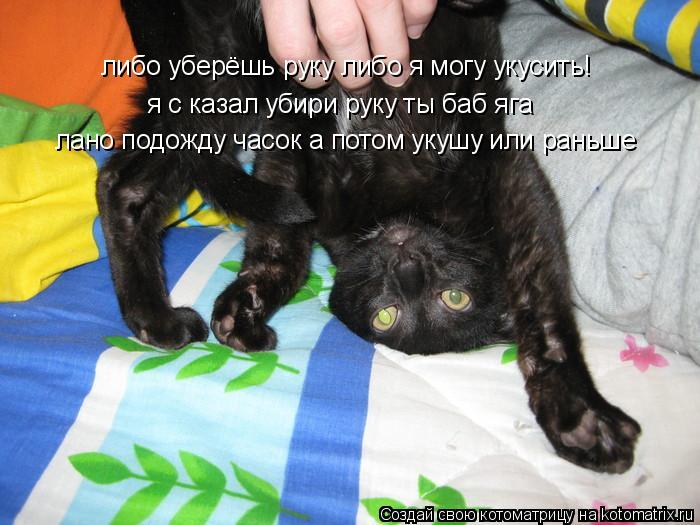 Котоматрица: либо уберёшь руку либо я могу укусить! я с казал убири руку ты баб яга лано подожду часок а потом укушу или раньше