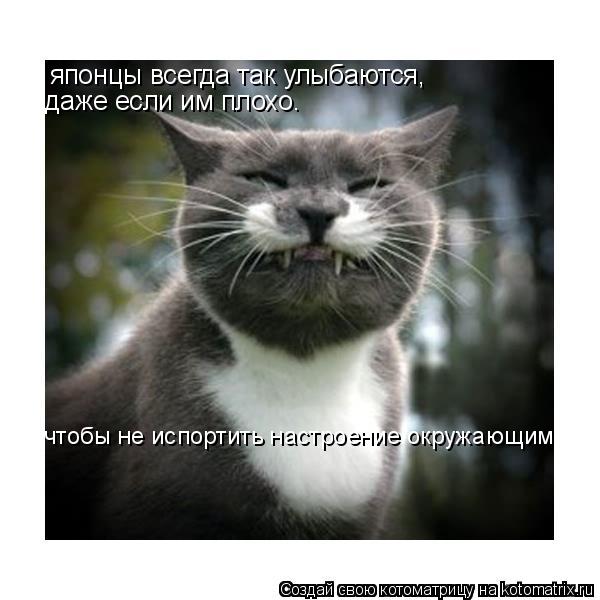Котоматрица: японцы всегда так улыбаются, даже если им плохо. чтобы не испортить настроение окружающим