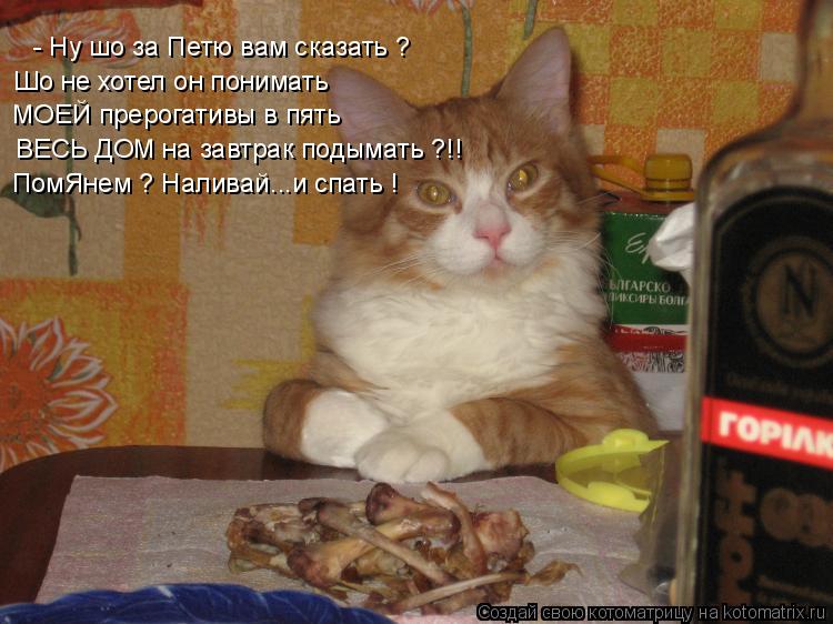 Котоматрица: - Ну шо за Петю вам сказать ? ВЕСЬ ДОМ на завтрак подымать ?!! ПомЯнем ? Наливай...и спать ! МОЕЙ прерогативы в пять Шо не хотел он понимать
