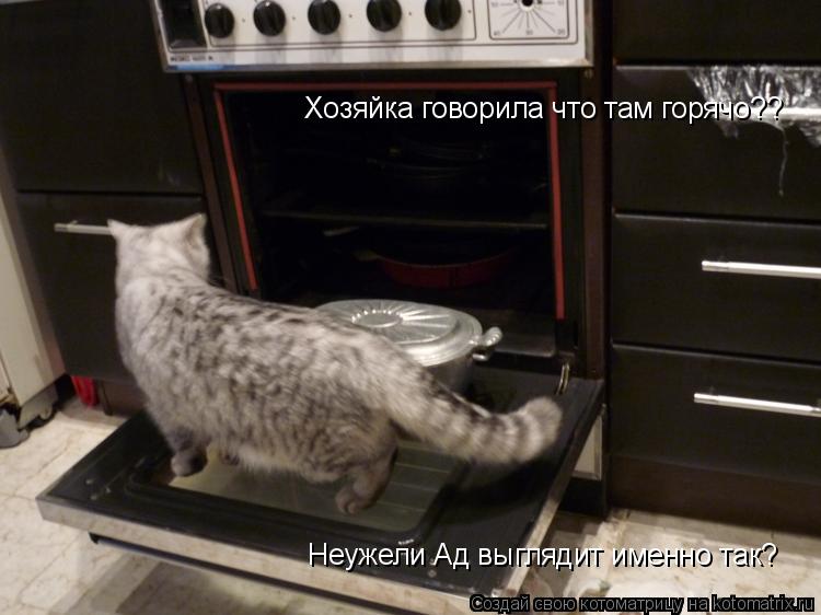 Котоматрица: Хозяйка говорила что там горячо?? Неужели Ад выглядит именно так?