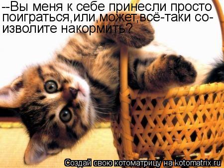 Котоматрица: --Вы меня к себе принесли просто поиграться,или,может,всё-таки со- изволите накормить?